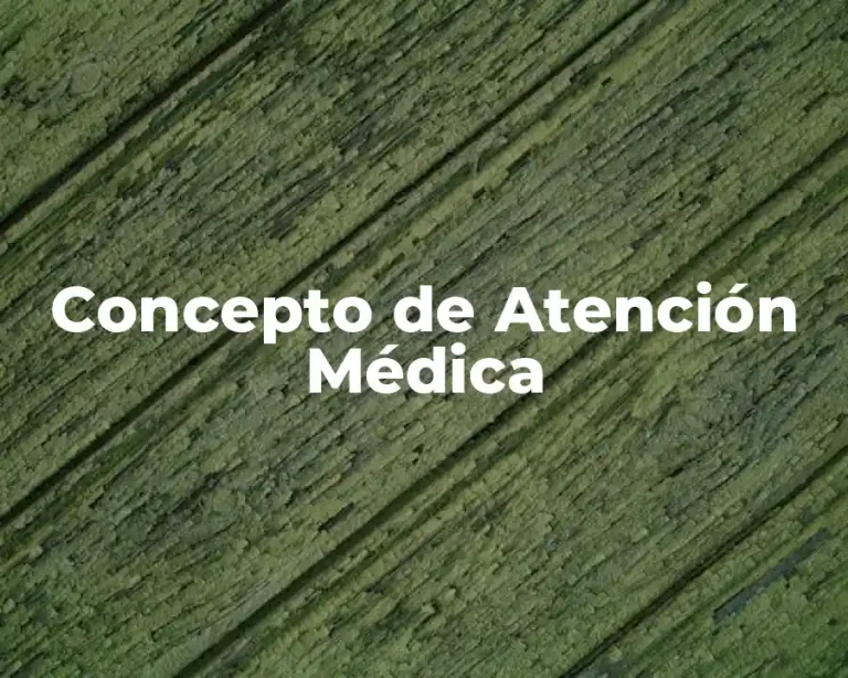 Concepto de Atención Médica