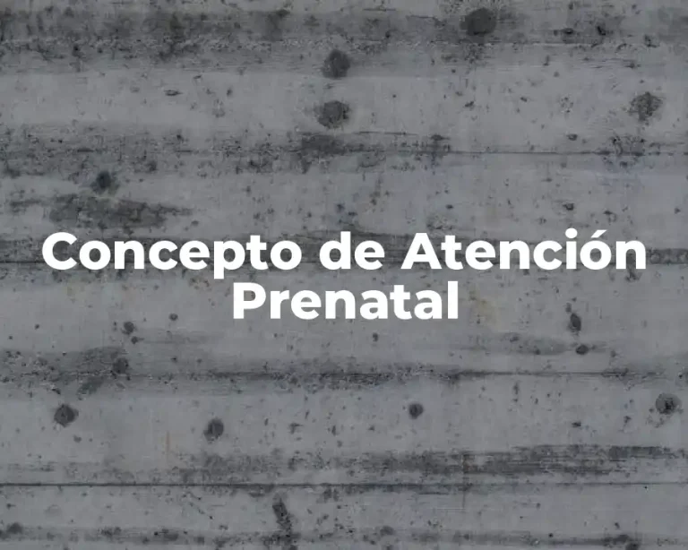 Concepto de Atención Prenatal