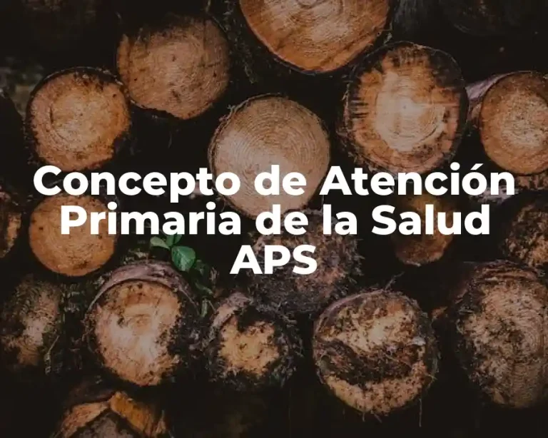 Concepto de Atención Primaria de la Salud APS