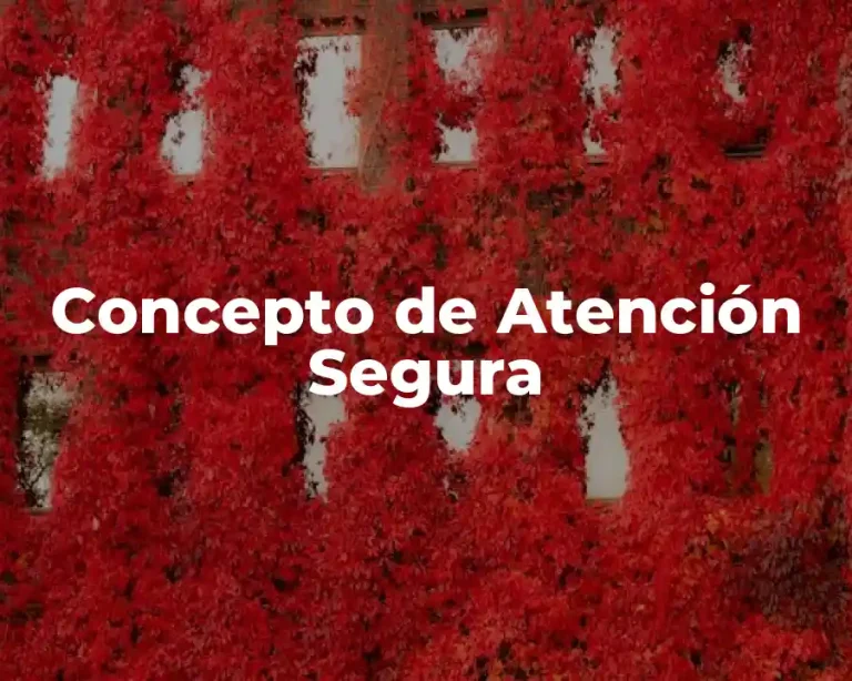 Concepto de Atención Segura