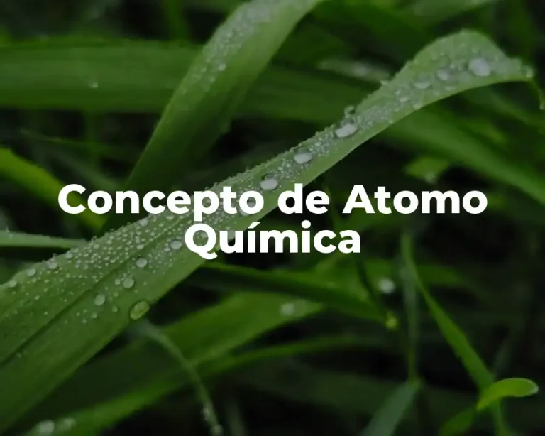Concepto de Atomo Química