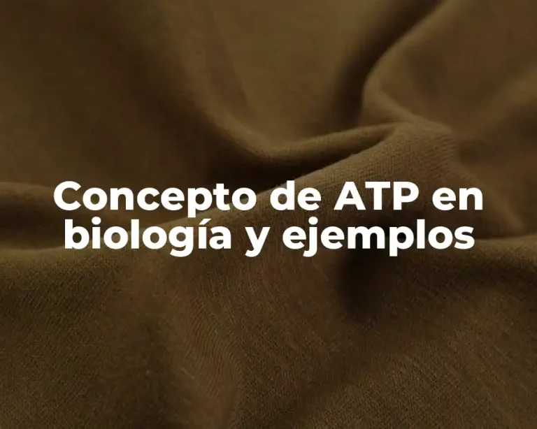 Concepto de ATP en biología y ejemplos