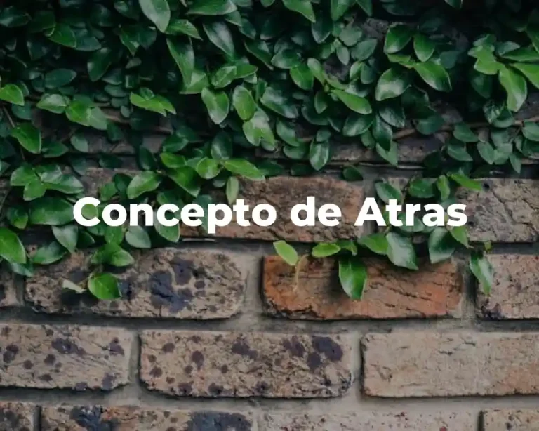 Concepto de Atras