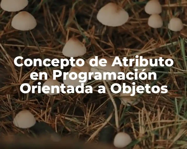 Concepto de Atributo en Programación Orientada a Objetos