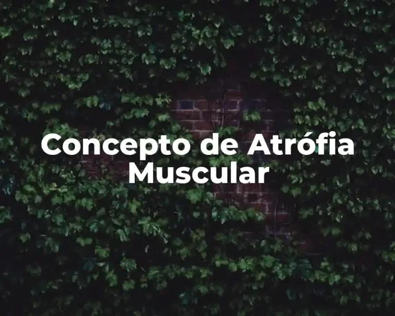 Concepto de Atrófia Muscular