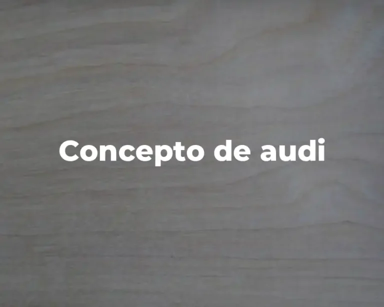 Concepto de audi