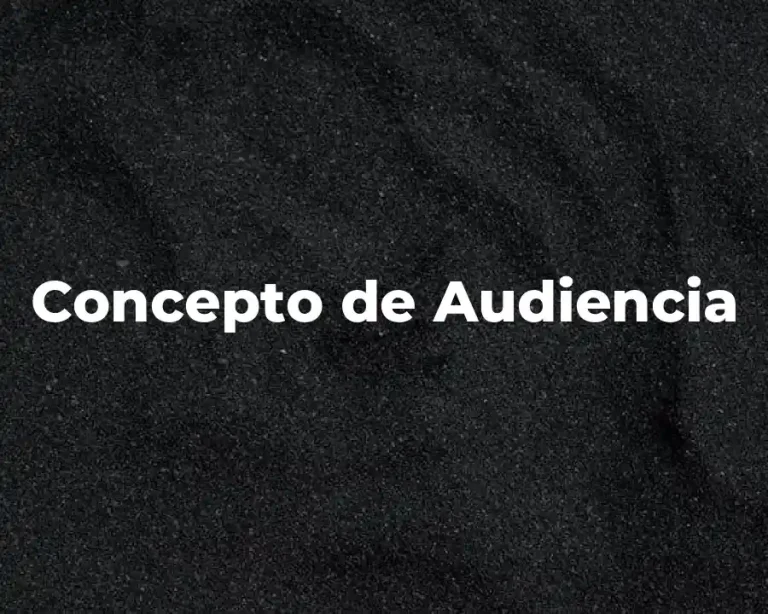 Concepto de Audiencia