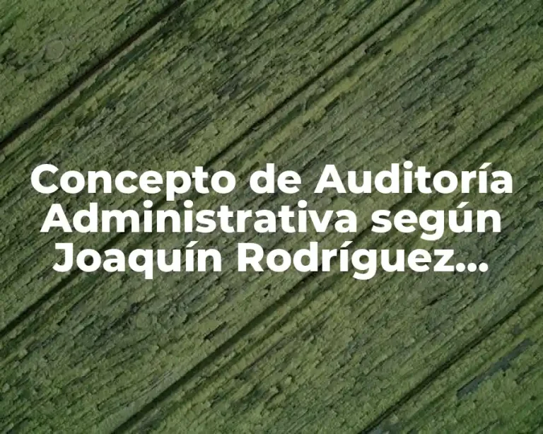 Concepto de Auditoría Administrativa según Joaquín Rodríguez Valencia