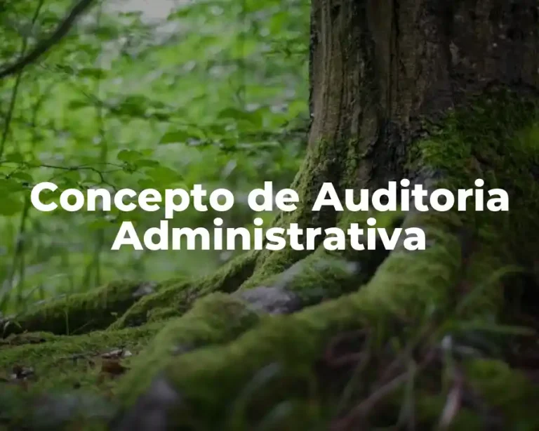 Concepto de Auditoria Administrativa