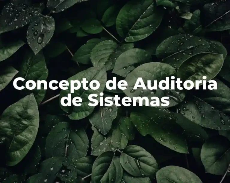 Concepto de Auditoria de Sistemas