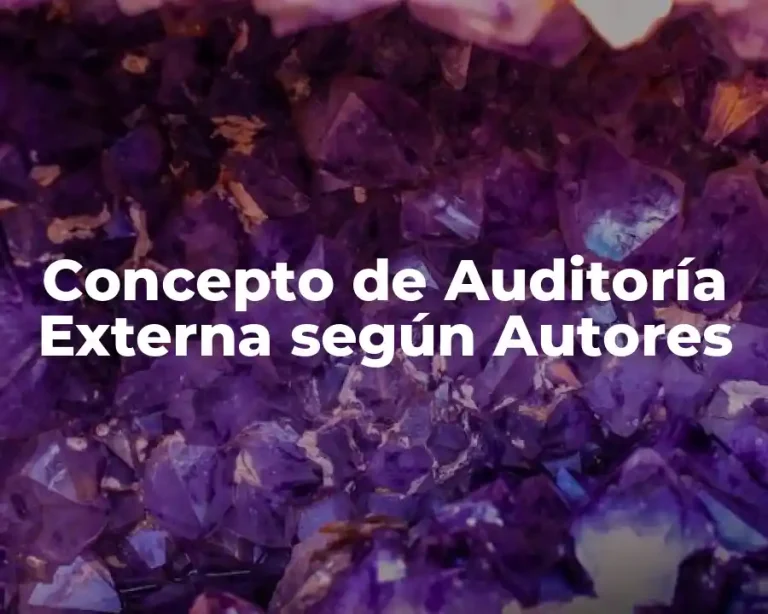 Concepto de Auditoría Externa según Autores