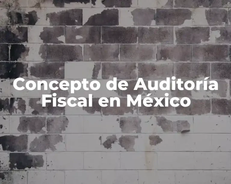Concepto de Auditoría Fiscal en México
