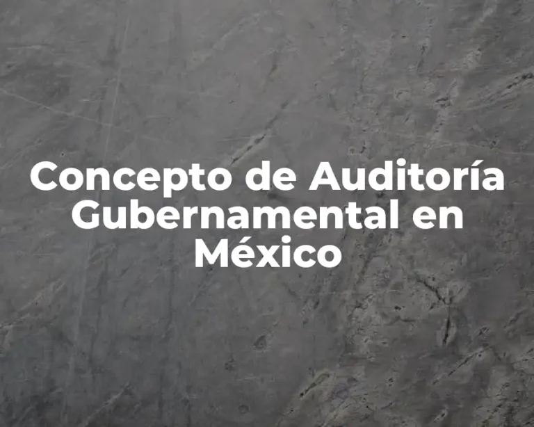 Concepto de Auditoría Gubernamental en México