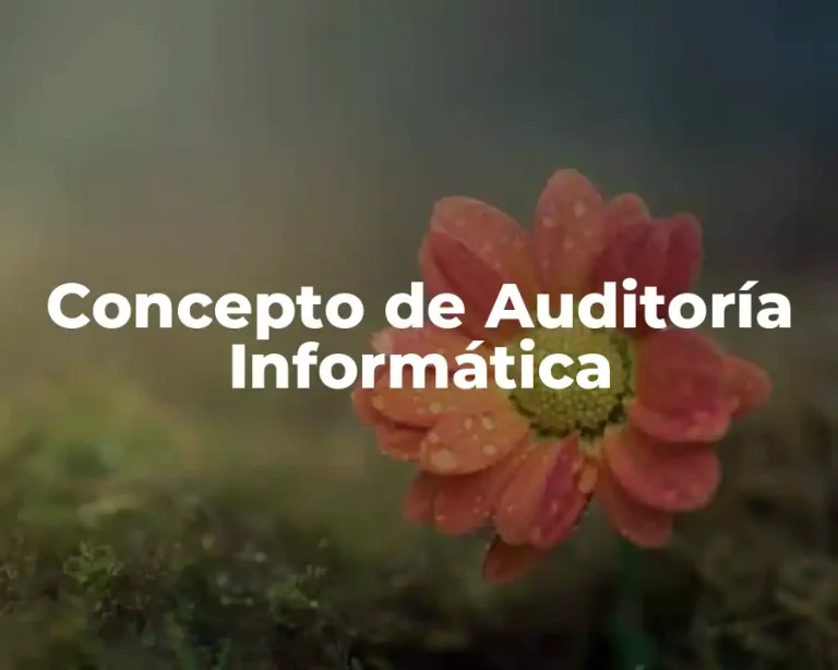 Concepto de Auditoría Informática