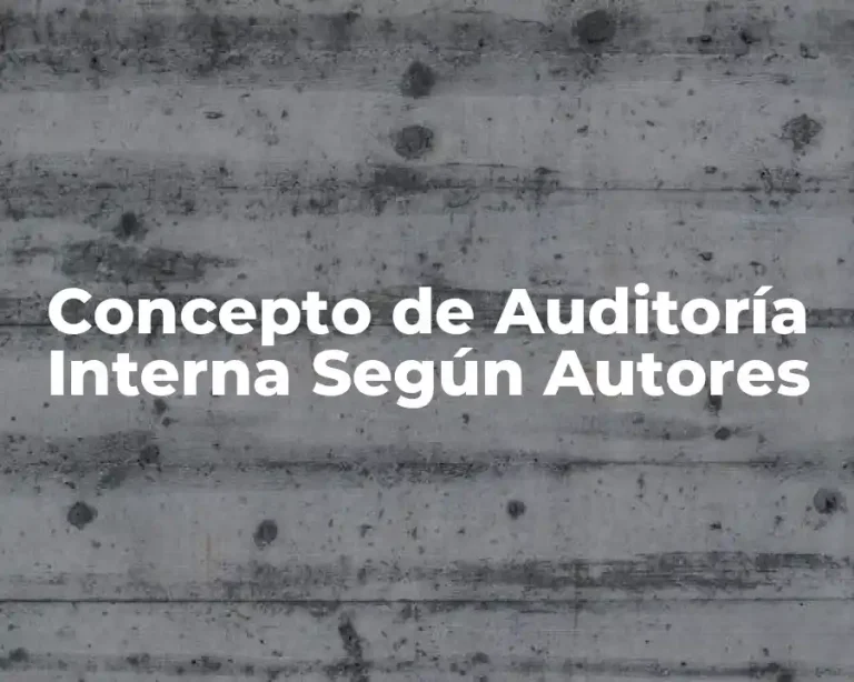 Concepto de Auditoría Interna Según Autores