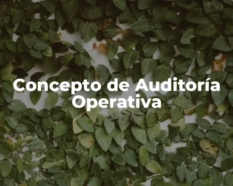 Concepto de Auditoría Operativa
