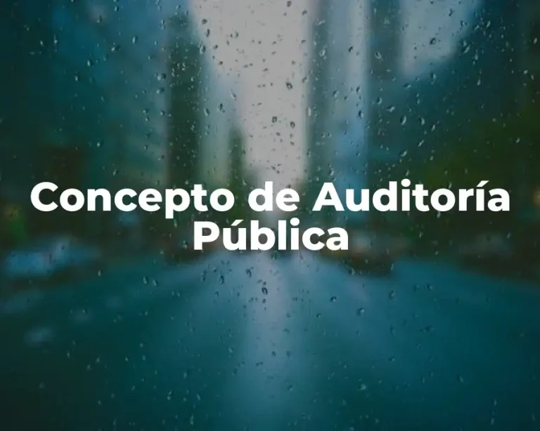 Concepto de Auditoría Pública