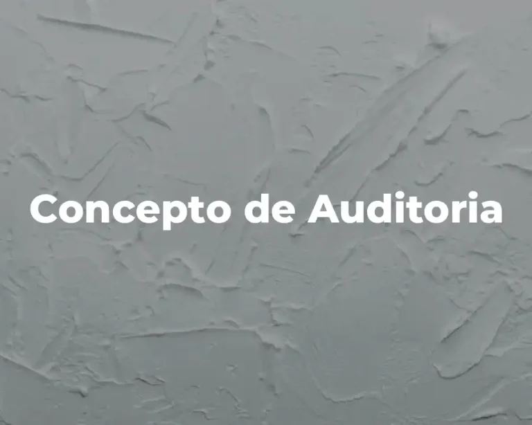 Concepto de Auditoria