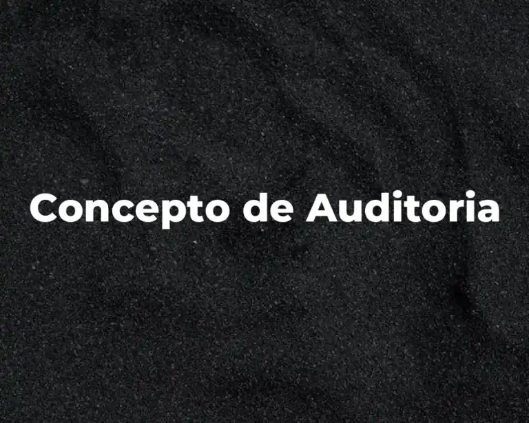 Concepto de Auditoria