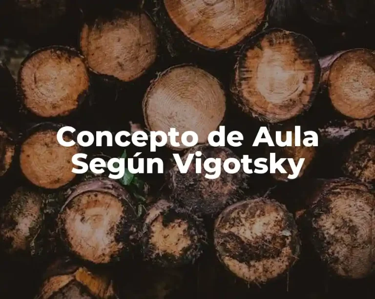 Concepto de Aula Según Vigotsky
