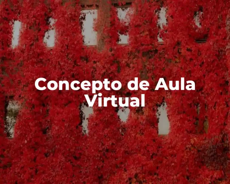 Concepto de Aula Virtual