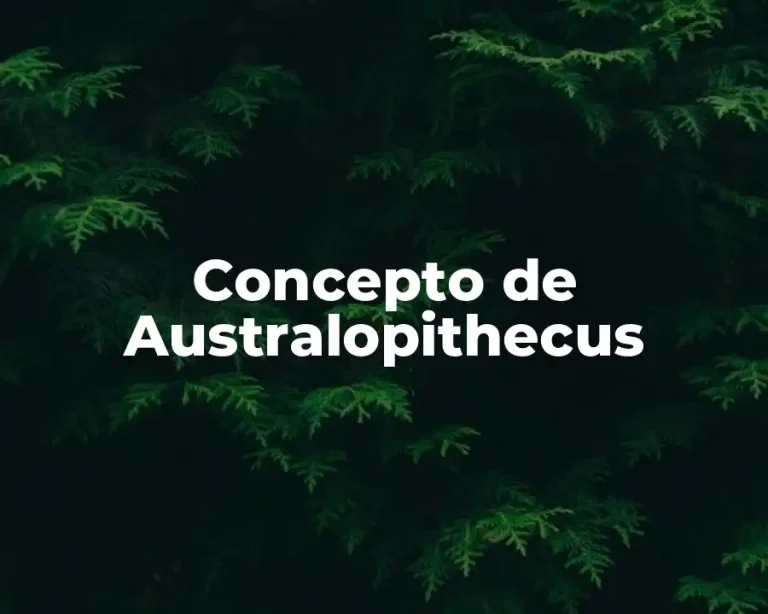 Concepto de Australopithecus