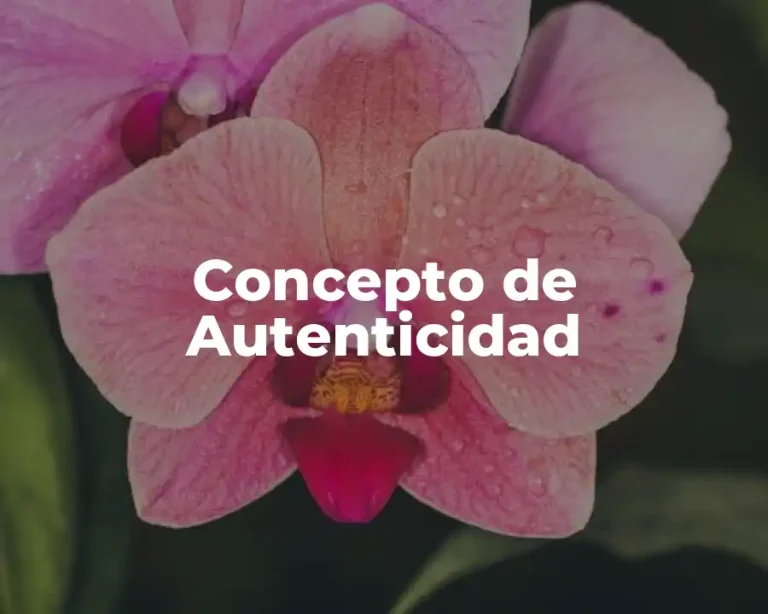 Concepto de Autenticidad