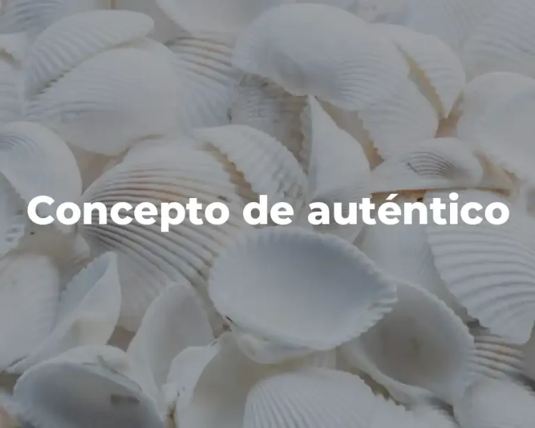 Concepto de auténtico