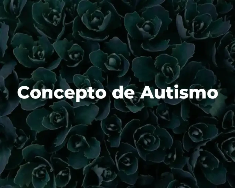 Concepto de Autismo