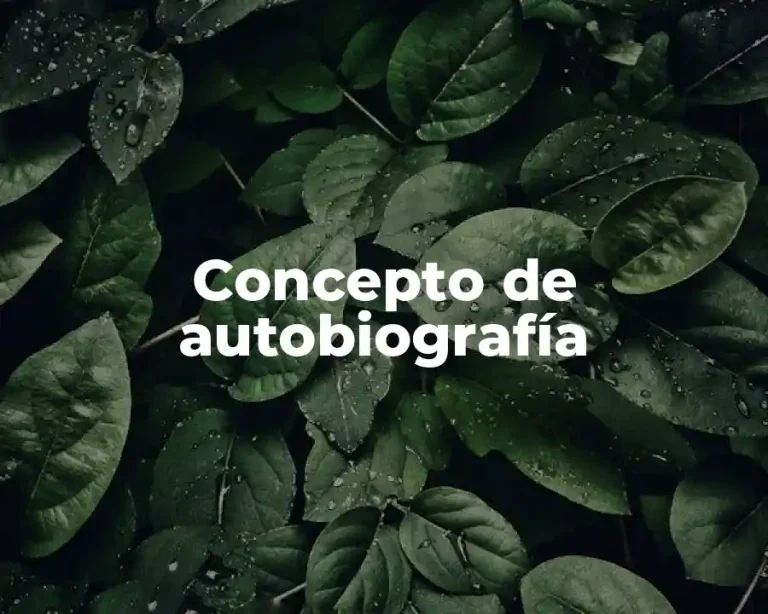 Concepto de autobiografía