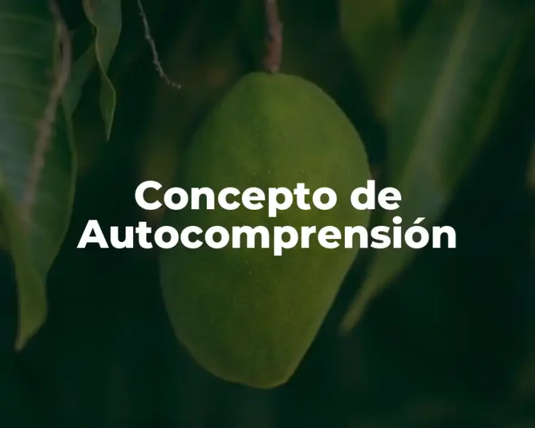 Concepto de Autocomprensión