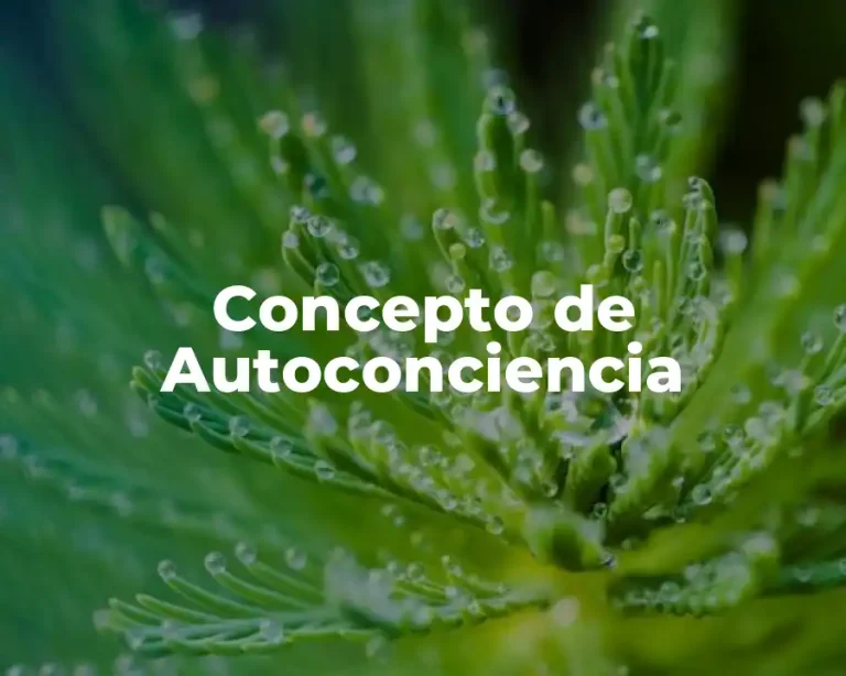 Concepto de Autoconciencia