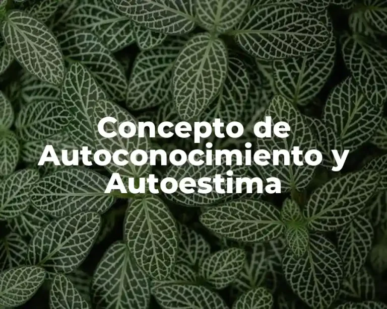 Concepto de Autoconocimiento y Autoestima