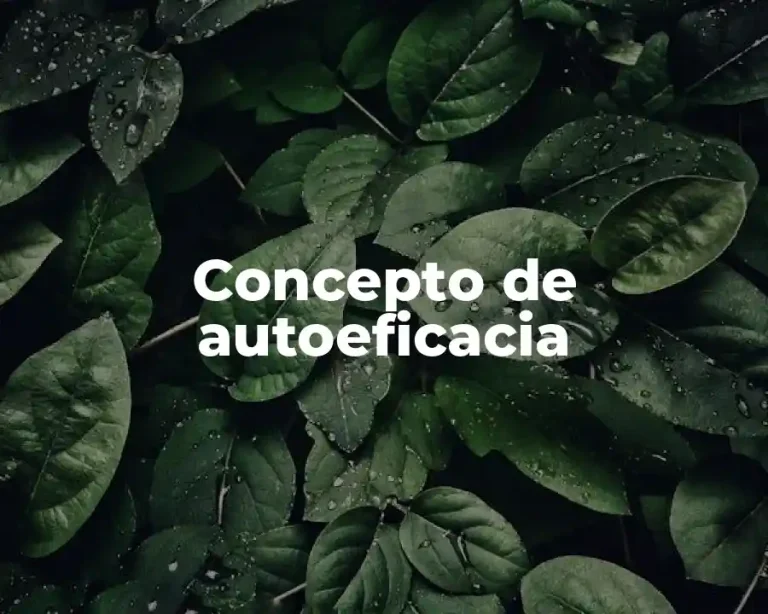 Concepto de autoeficacia
