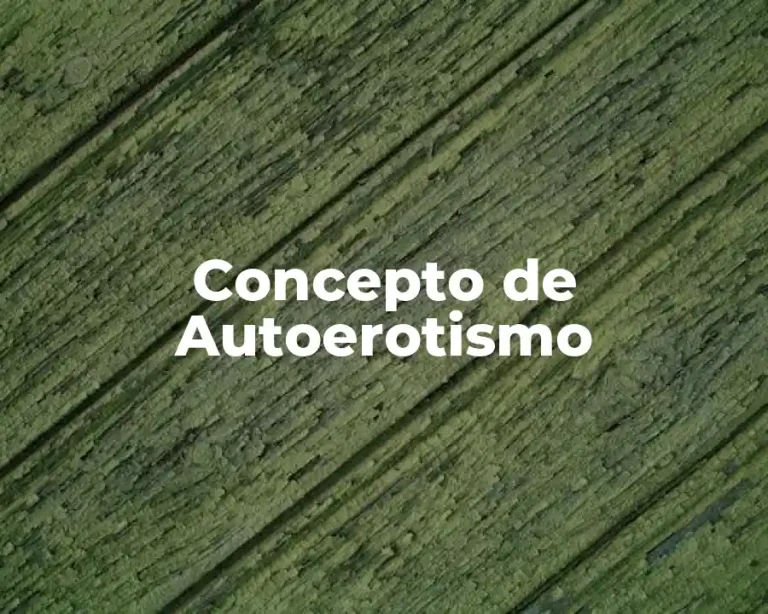 Concepto de Autoerotismo
