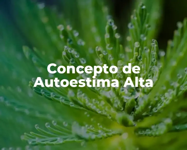 Concepto de Autoestima Alta