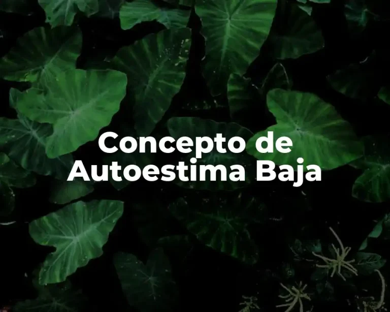 Concepto de Autoestima Baja