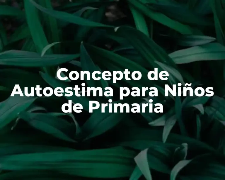 Concepto de Autoestima para Niños de Primaria