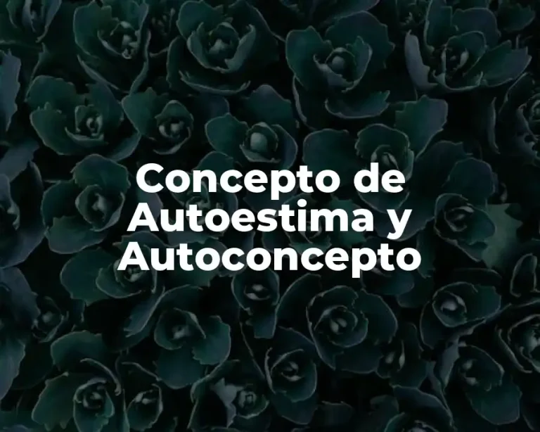 Concepto de Autoestima y Autoconcepto