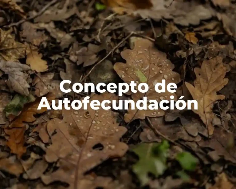 Concepto de Autofecundación