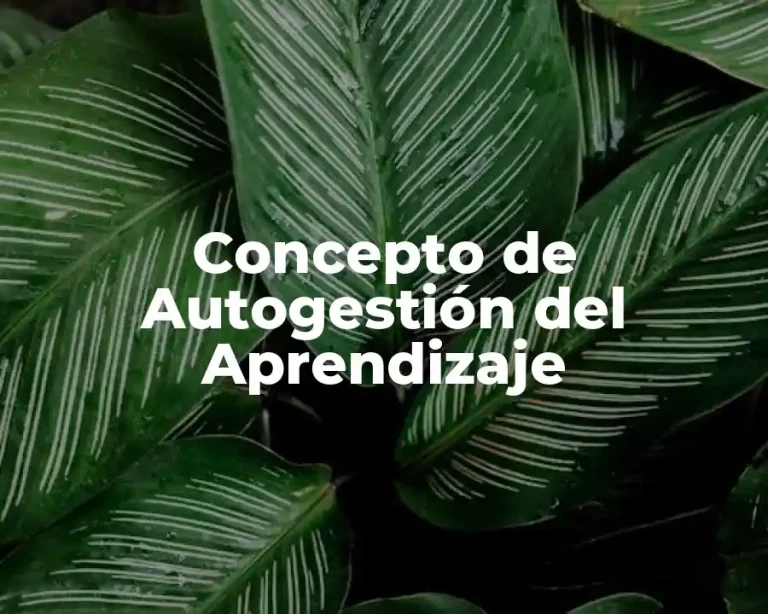 Concepto de Autogestión del Aprendizaje