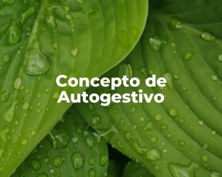 Concepto de Autogestivo