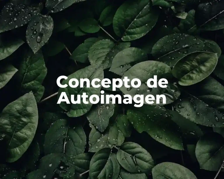 Concepto de Autoimagen