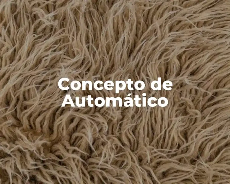 Concepto de Automático