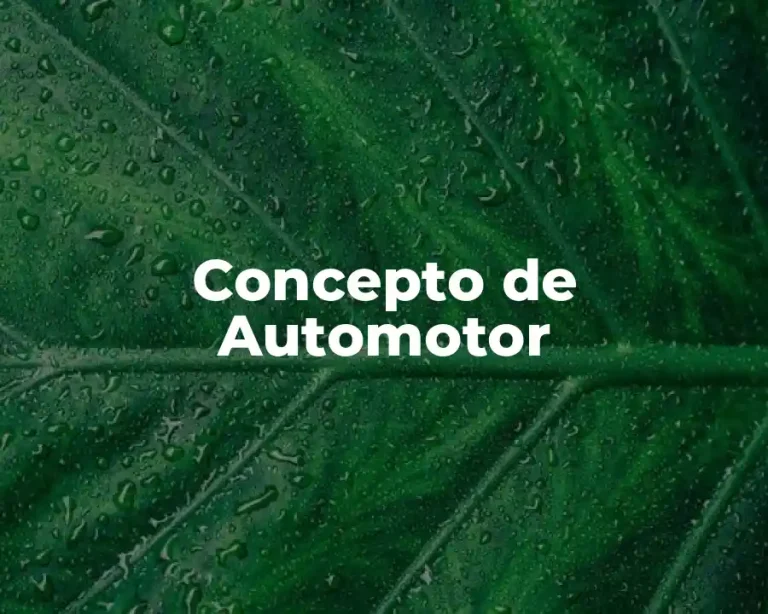Concepto de Automotor