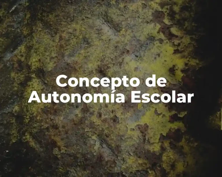 Concepto de Autonomía Escolar