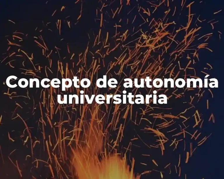 Concepto de autonomía universitaria
