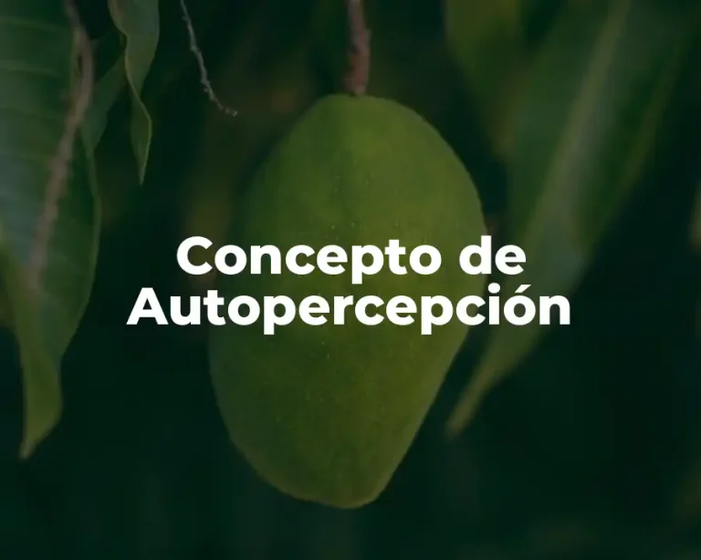 Concepto de Autopercepción