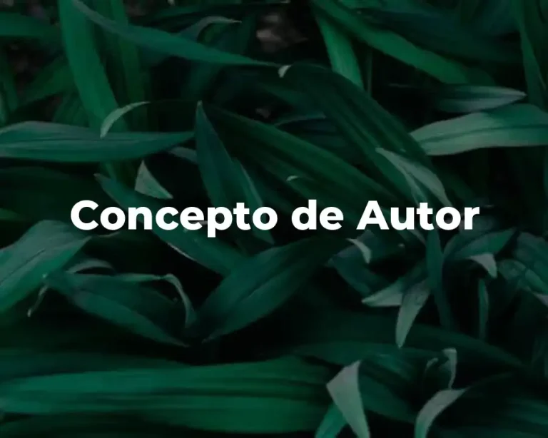 Concepto de Autor