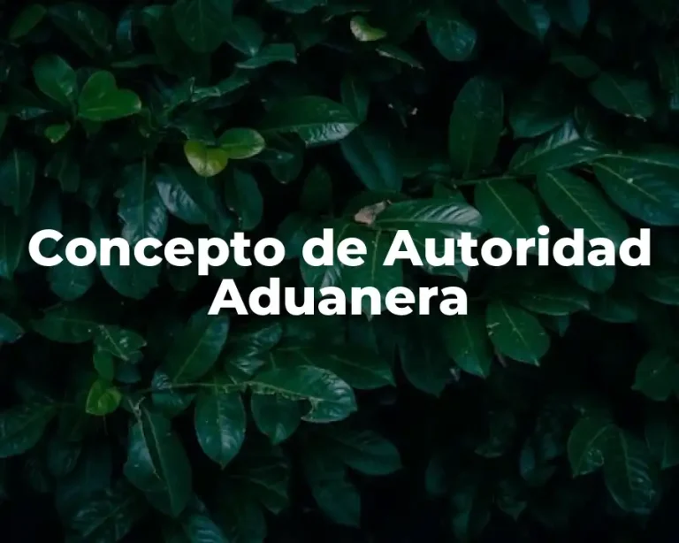 Concepto de Autoridad Aduanera